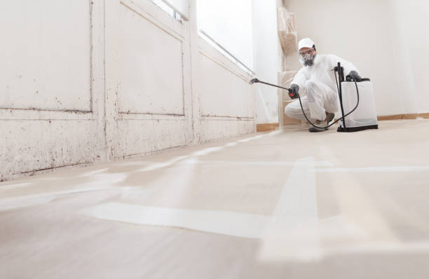 24/7 Emergency Mold Remediation experts in Lewisburg, TN