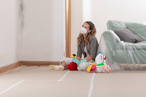 Reliable Mold Remediation contractor in Lewisburg, TN by WQB Mold Removal